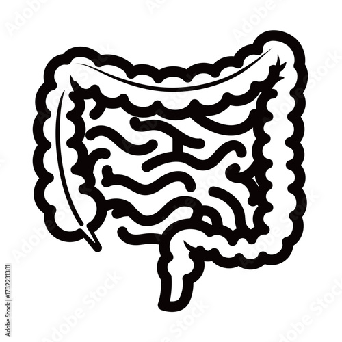 black and white silhouette of the intestines vector on a white background