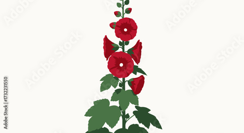 Red hollyhock flower stalk on a light background
