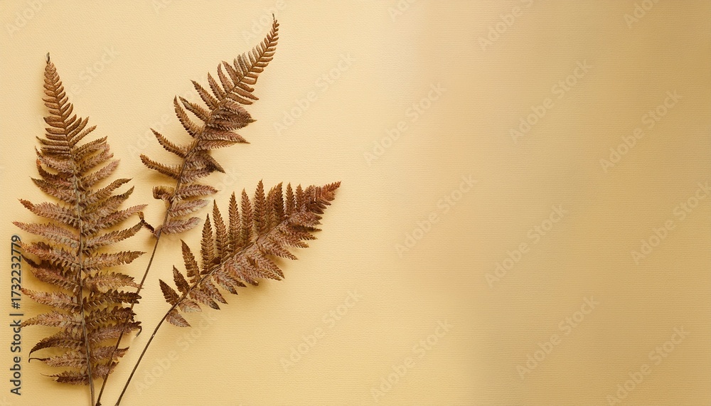 Naklejka premium Dried Fern Branches On Pale Yellow Background Simple Autumnal Design
