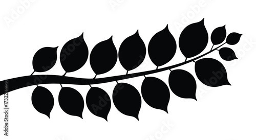  Black silhouette of a curved branch with symmetrical teardrop leaves, ideal for botanical design, nature themes, wellness, and minimalist decor