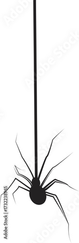 Hanging Spider