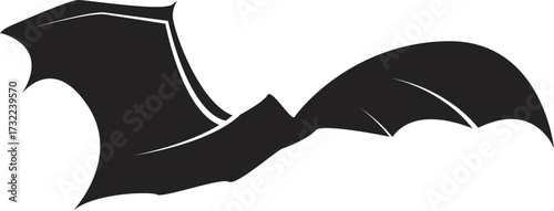 Wings of Bat