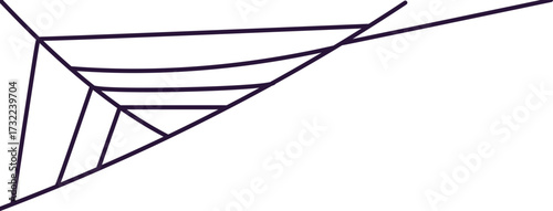 Spider Cobweb