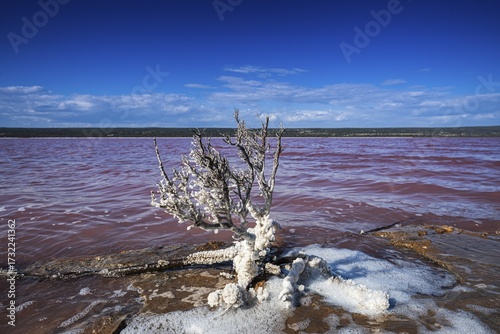 Pink Lake, Port Gregory, Western Australia, Australia