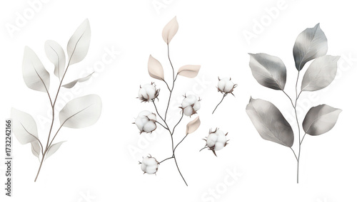 A serene composition of delicate cotton branches and soft leaves arranged artistically on a light background. perfect for nature-themed designs or calming decor