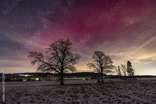 Northern Lights, Aurora borealis, Stable auroral red arc (SAR Arc), violet, pink, red, hut, stars, Loisach-Lake Kochel-Moor, foothills of the Alps, Bavaria, Germany