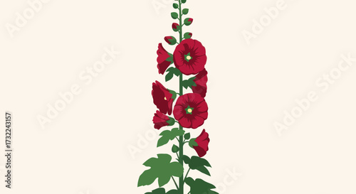 Reddish-purple flower stalk with green leaves, off-white background