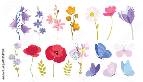 Summer meadow flowers. Poppy flowers. Pink, red, blue, green colors. Flower illustrations, summer field, butterflies. Herbal decoration, romantic wildflowers, kitchen towel, tablecloth, dress for girl