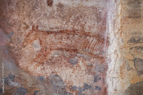 Aboriginal rock carvings, Kadadu National Park, Ubirr, or Obiri Rock, Northern Territory, Australia