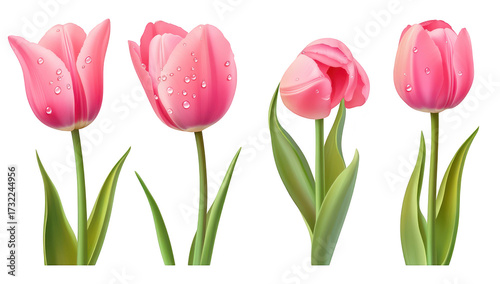 A arrangement of pink tulips with water droplets. their delicate petals and lush green leaves. symbolizing beauty and renewal in a serene garden setting (1)
