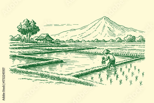 Vintage engraving of a farmer working in rice fields with mountains in the background.