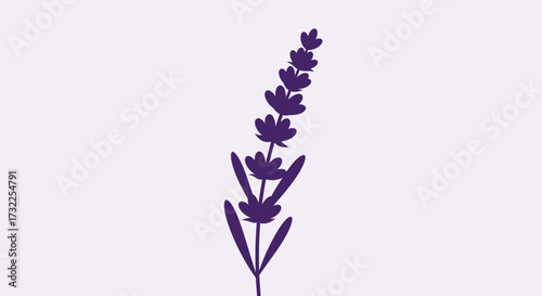 Simple lavender silhouette
