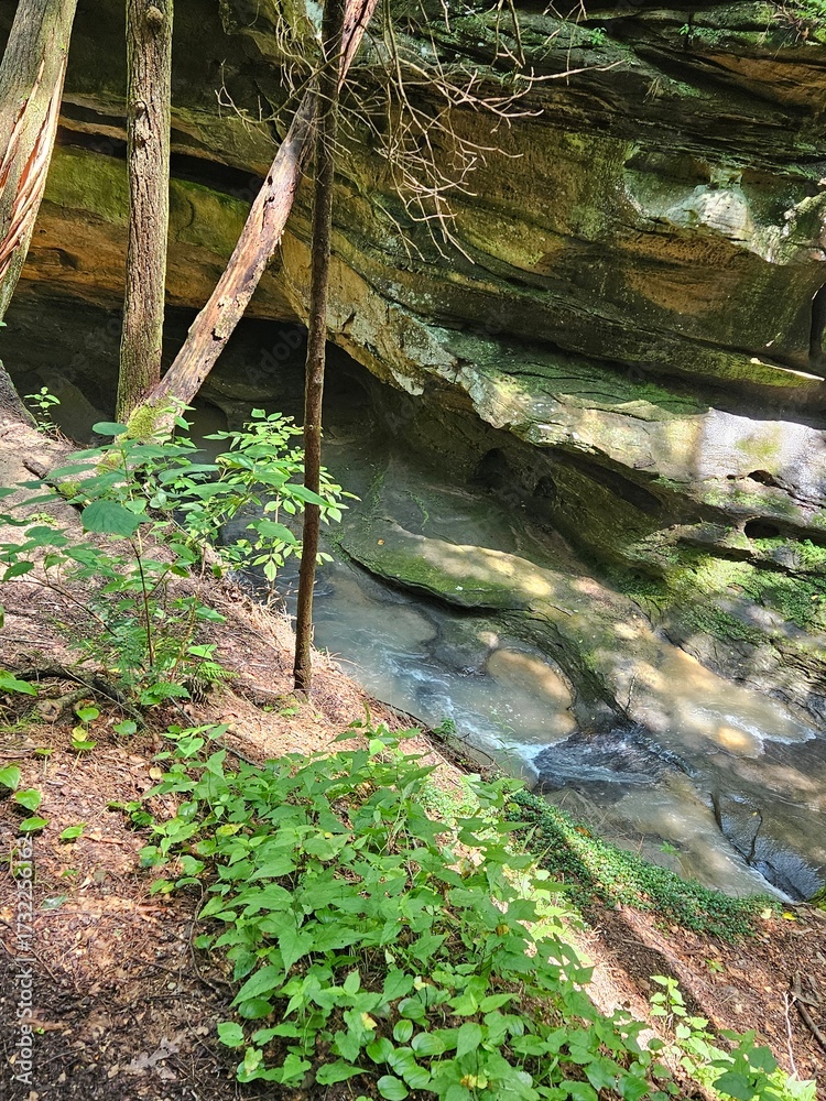 Fototapeta premium waterfall in the forest