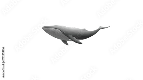 A realistic illustration of a large gray whale swimming in the ocean, depicted against a clean white background.