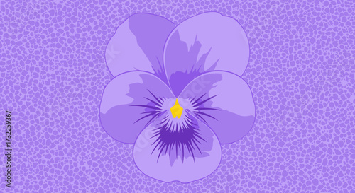 Simple pansy blossom on purple background