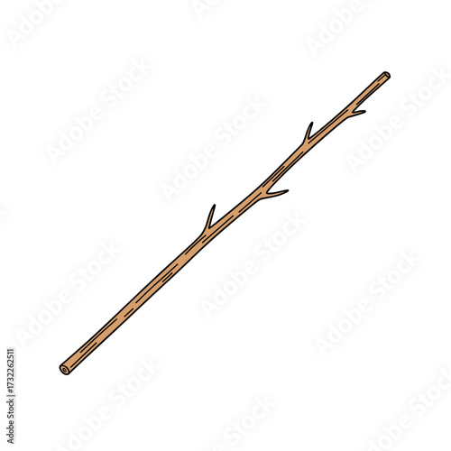 A long wooden stick with a rough texture and several smaller branches protruding from its surface.