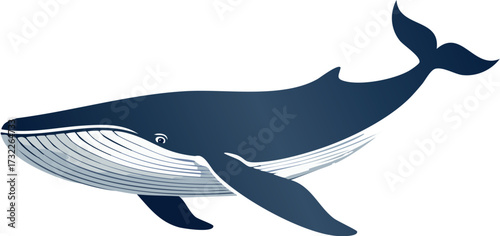 fish, animal, dolphin, vector, sea, illustration, water, ocean, cartoon, shark, silhouette, art, nature, whale, swimming, jumping, mammal, blue, bird, aquatic, animals, wave