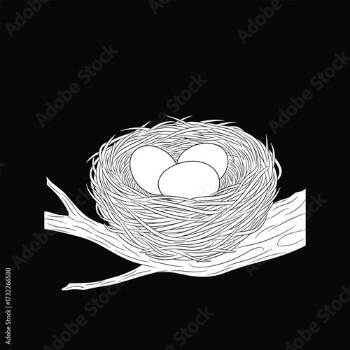 A detailed illustration of a bird's nest containing three eggs resting on a tree branch.