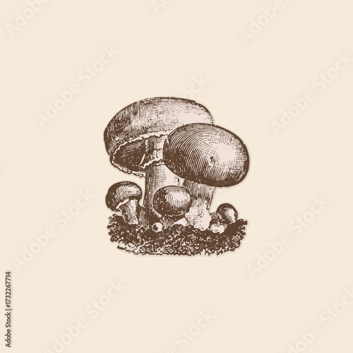 Edible wild mushroom champiñón retro logo vintage illustration design vector element