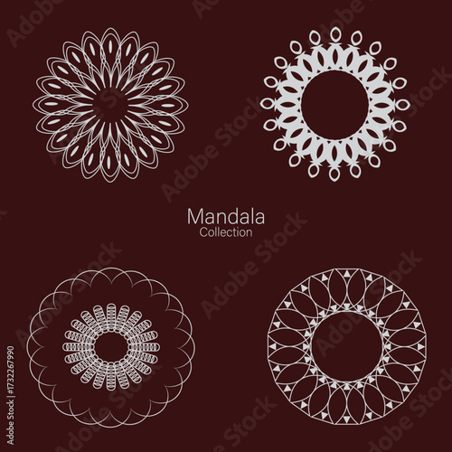 Luxury ornamental mandala design vector illustration