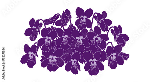 Bunch of deep purple violets on white