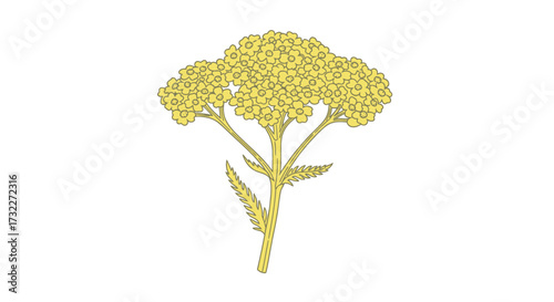 Simple yellow flower illustration
