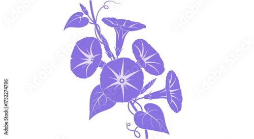 Purple morning glories on a white background, with tendrils and heart-shaped leaves