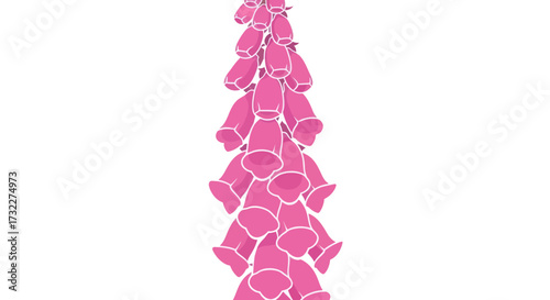 Pink, bell-shaped, clustered flowers