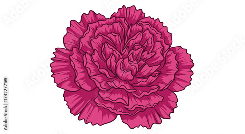 Pink ruffled flower with dark outlines