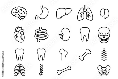Human anatomy icon set with internal organs and bones. Medical and biology line art symbols for healthcare. Vector illustration of brain, heart, lungs, liver, skeleton.