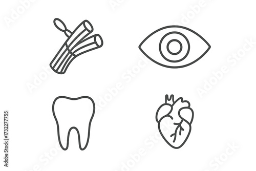 Medical and anatomy icon set. Thin line vector illustrations of the human eye, tooth, heart, and muscle tissue. Editable stroke symbols for healthcare, web, and app design.