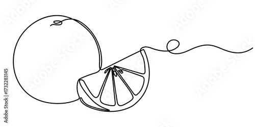 Orange continuous single line drawing. One line art orange fruit vector illustration, Continuous one line drawing of orange fruit, Orange fruit in continuous line art drawing style, Single outline. 
