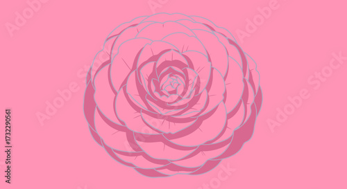 Pink backdrop with rose