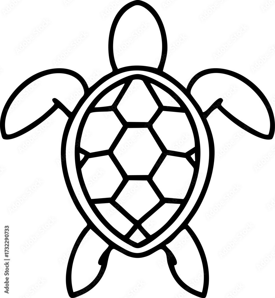 Obraz premium brazilian turtle shown from above