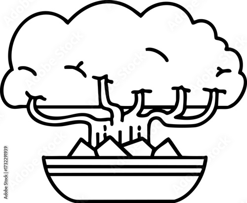 japanese bonsai tree in shallow pot