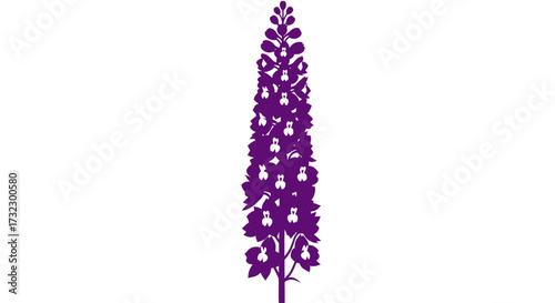 Purple flower stalk on white
