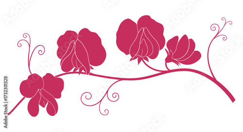 Pink branch with four stylized flowers and curling tendrils on white