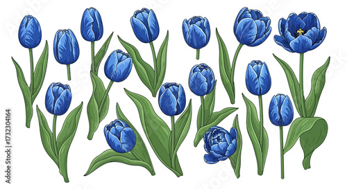 Artistic floral vector design featuring stunning blue tulip blossom on a clean white background