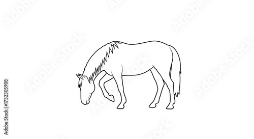 Elegantly grazing horse depicted in a minimalist black outline artwork style