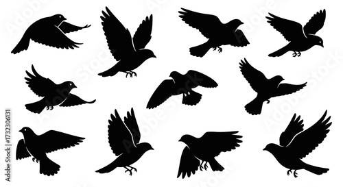 Graceful avian silhouettes displaying soaring flight and freedom in monochrome composition