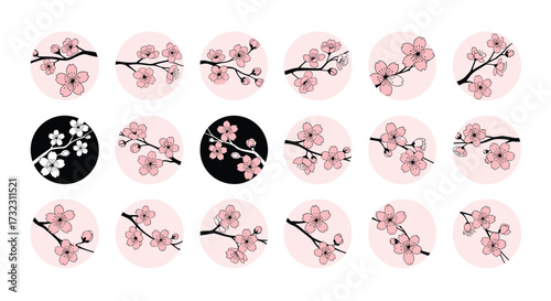 Beautiful pink cherry blossom branches in circular frames.