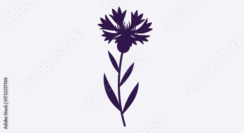 Dark purple flower silhouette on white, with leafy stem and detailed bloom