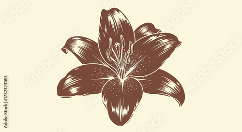 Floral print of a lily-like flower with decorative lines and stamen