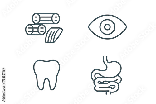 Human anatomy icon set. Medical and healthcare line art symbols. Editable stroke vector graphics. Eye, tooth, muscle, digestive system. Biology illustration for app, web, UI, UX.