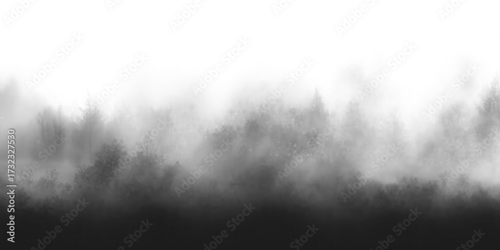 Fototapeta premium Foggy forest mist under cloudy sky transparent background, isolated