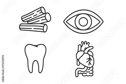 Human anatomy line icon set. Medical and healthcare symbols. Bone, eye, tooth, heart and intestine thin line vector illustration for infographic, website or science project.