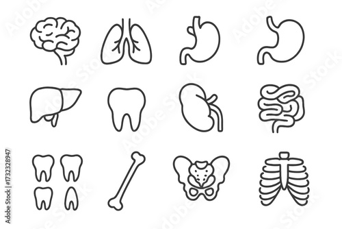 Internal organs teeth and bones thin line icons pack for medical and health web, apps, books, cards, editable stroke vector cartoon illustration set with transparent background