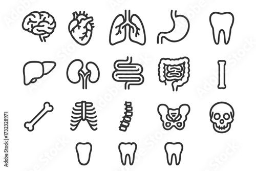 Simple isolated line icons collection of internal organs, teeth, bones, editable stroke vector cartoon illustration for websites, books, cards, apps, health and anatomy