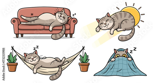  Cats lounging and napping in cozy spots