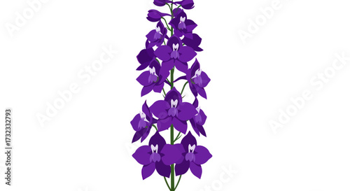 Purple flower stalk